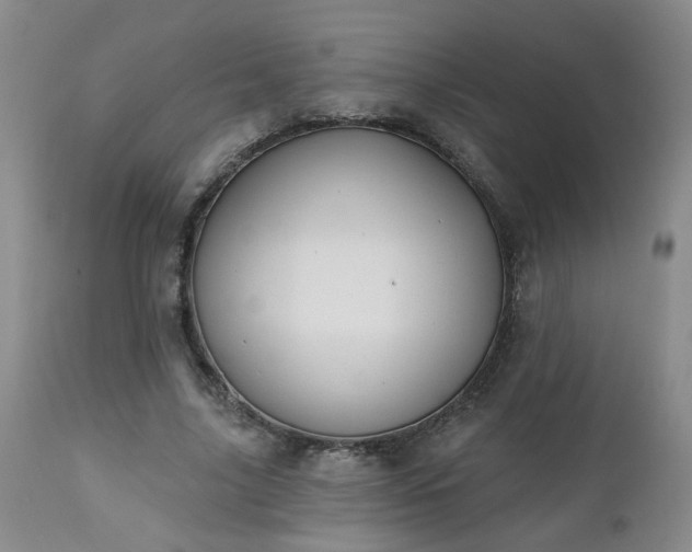 X0000112460635200908241259