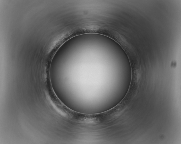 X0000112460638200908241259