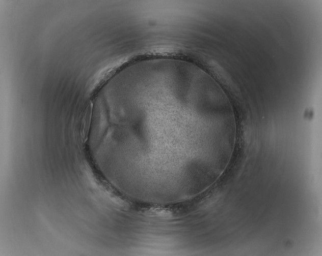 X0000112460640200908241300