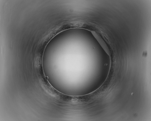 X0000112460641200908241300