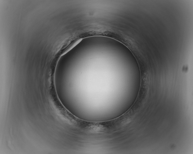 X0000112460642200908241300