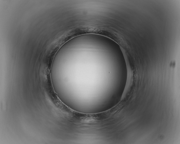 X0000112460643200908241300