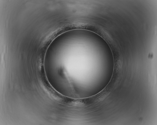 X0000112460644200908241300