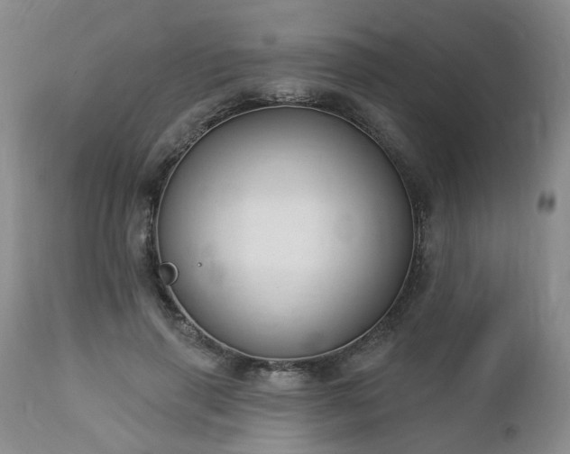 X0000112460645200908241300