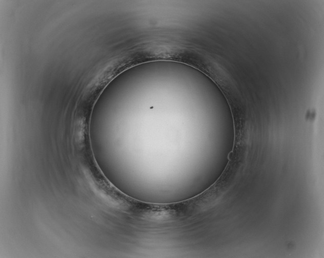 X0000112460646200908241300