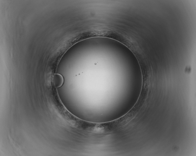 X0000112460647200908241300