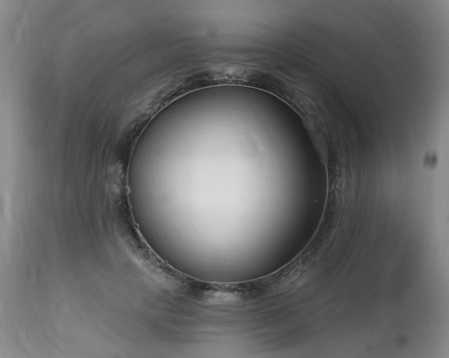 X0000112460649200908241300