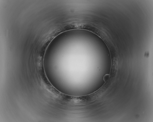 X0000112460650200908241300