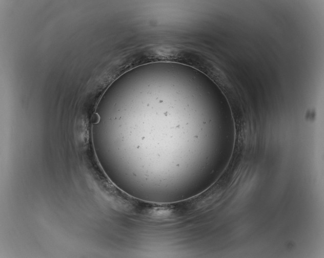 X0000112460651200908241300