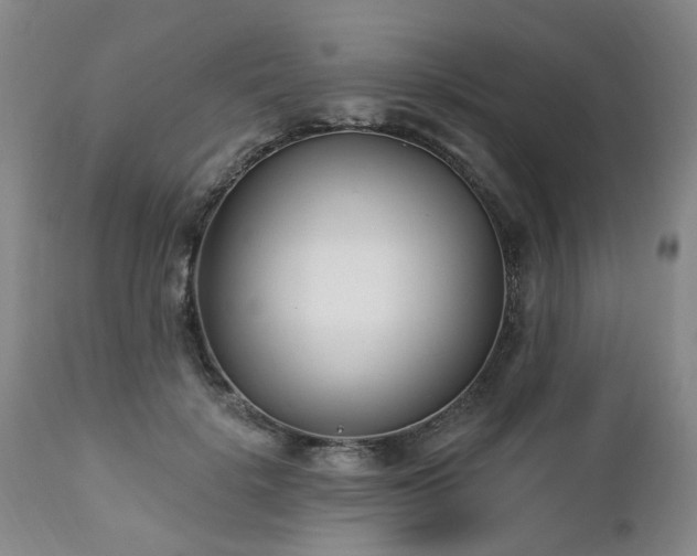 X0000112460652200908241300