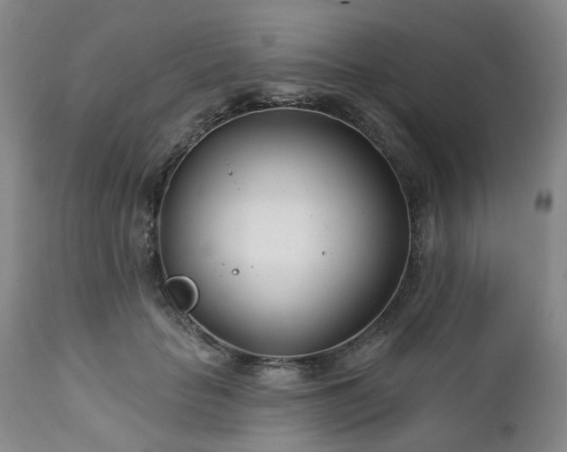 X0000112460653200908241300