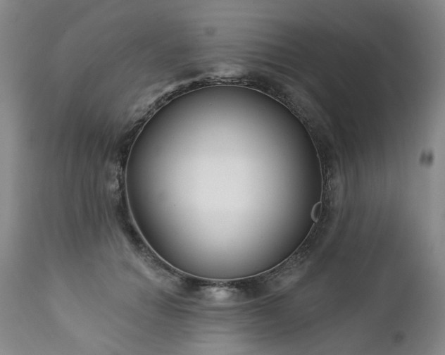 X0000112460654200908241300