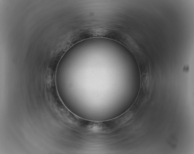 X0000112460655200908241300