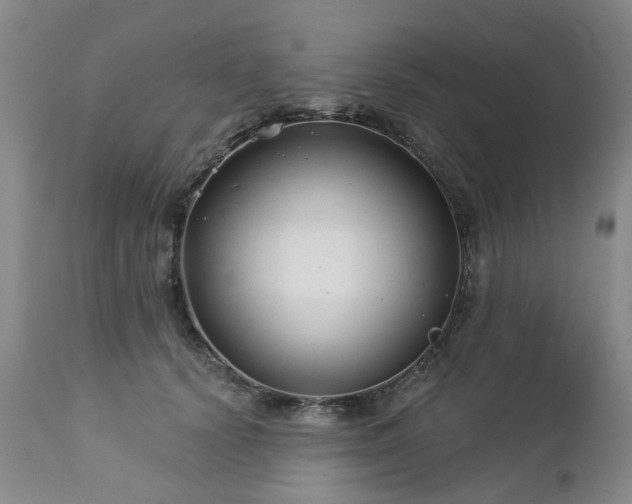 X0000112460656200908241300