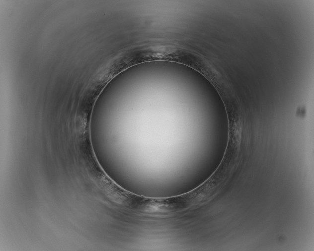 X0000112460657200908241300