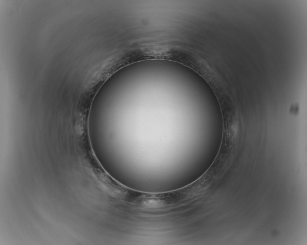 X0000112460658200908241300