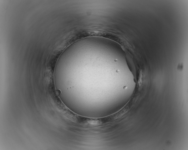 X0000112460659200908241300