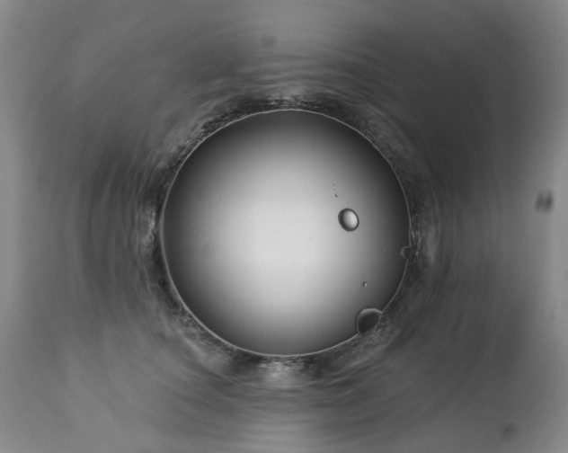 X0000112460660200908241300