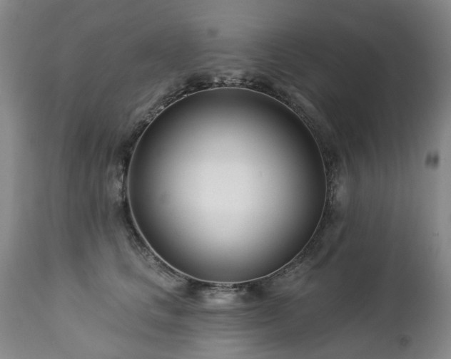 X0000112460661200908241300