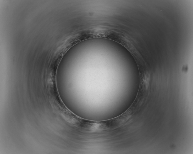 X0000112460663200908241300