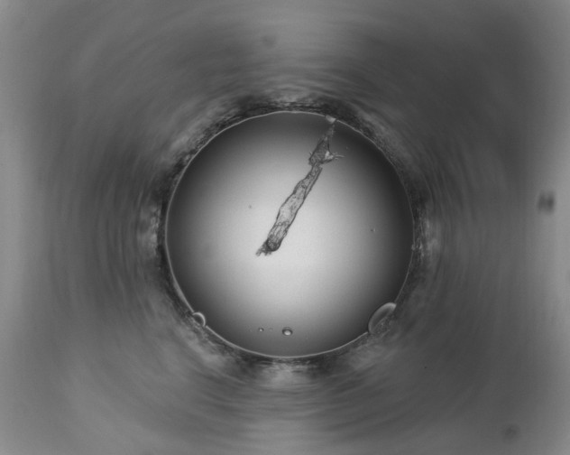 X0000112460664200908241300