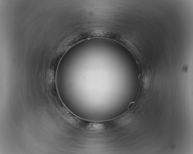 X0000112460665200908241300