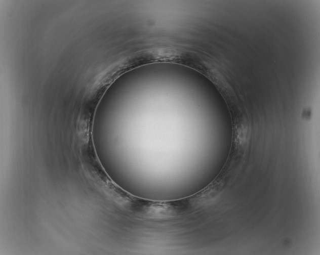 X0000112460666200908241300