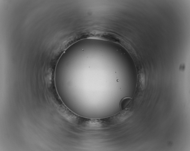 X0000112460668200908241300