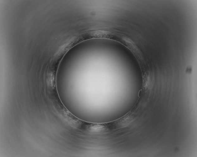 X0000112460669200908241300