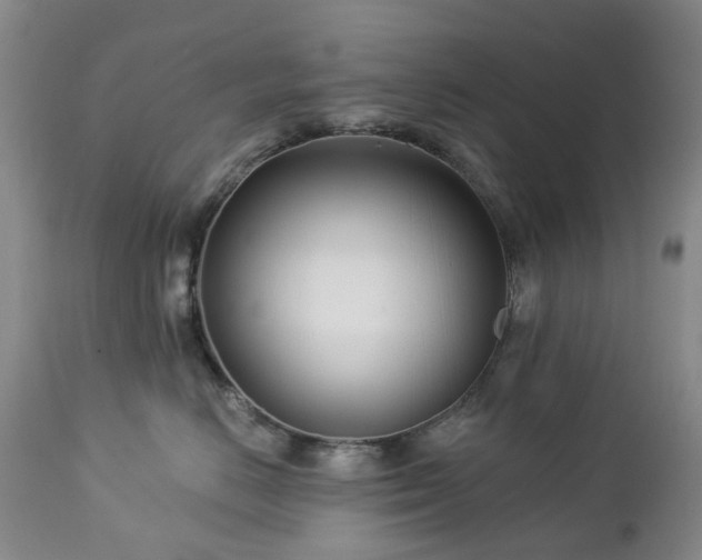 X0000112460670200908241300