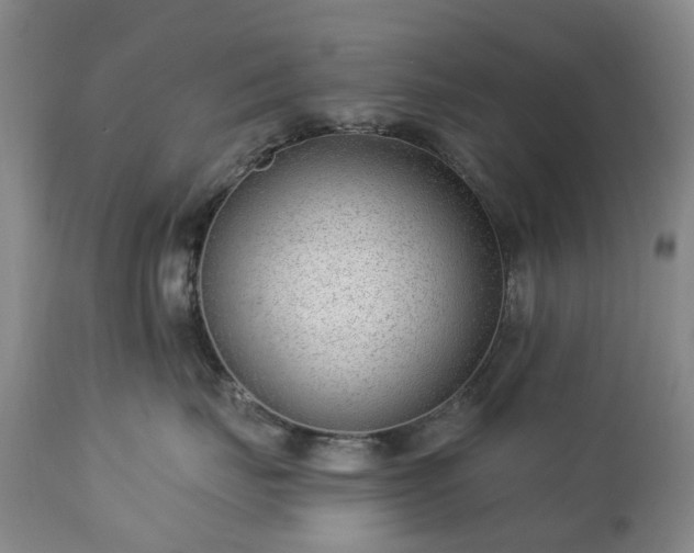 X0000112460671200908241300