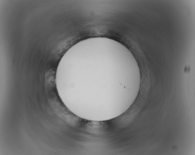 X0000112460672200908241300