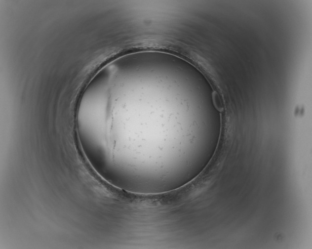 X0000112460673200908241259