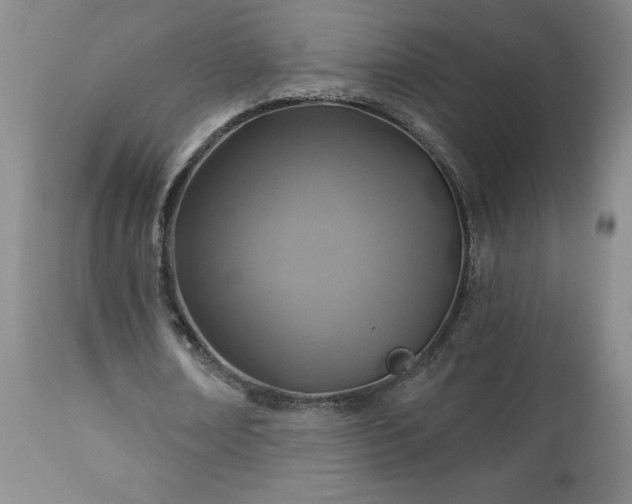 X0000112460674200908241259