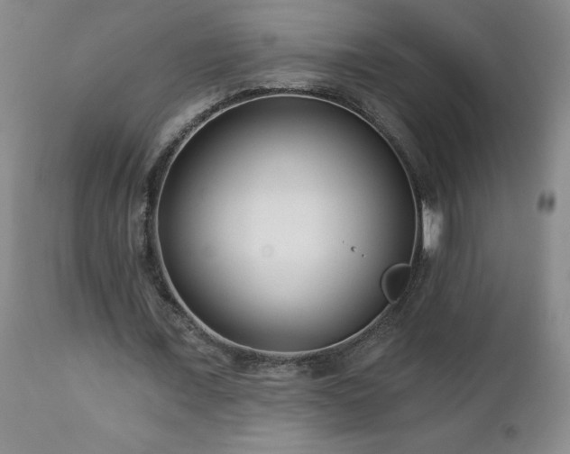 X0000112460675200908241259