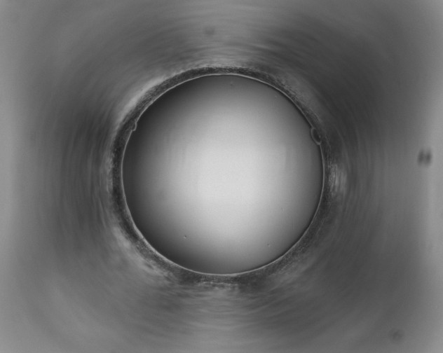 X0000112460676200908241259