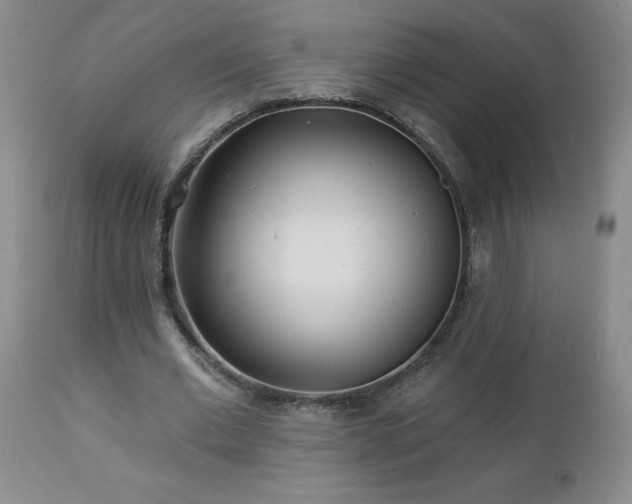 X0000112460677200908241259