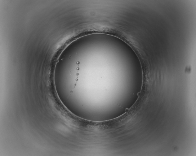 X0000112460679200908241259