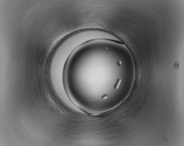 X0000112460680200908241259