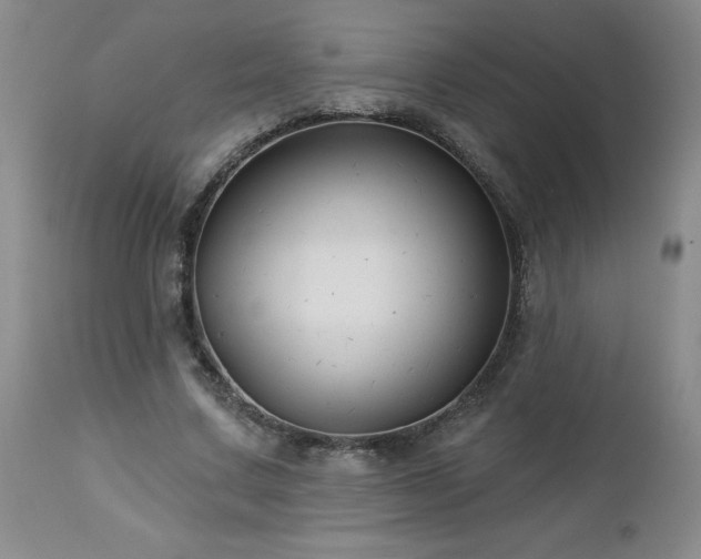 X0000112460683200908241259