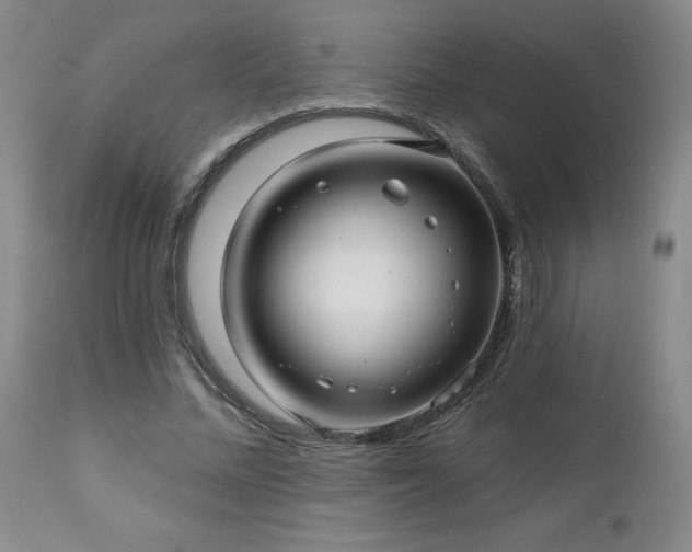 X0000112460684200908241259