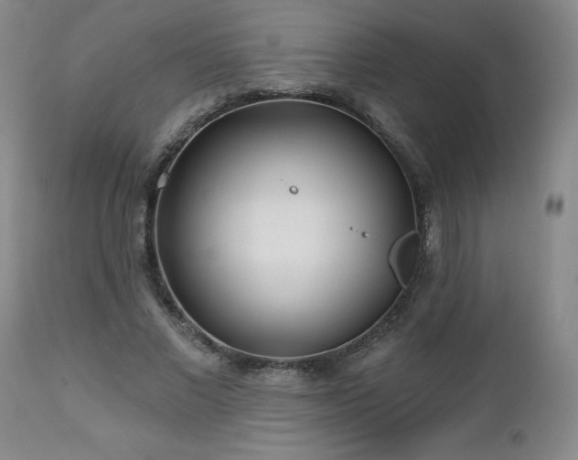 X0000112460685200908241259