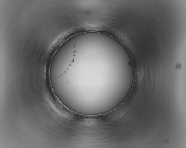 X0000112460686200908241259