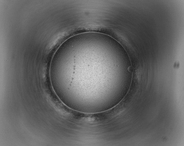 X0000112460687200908241259