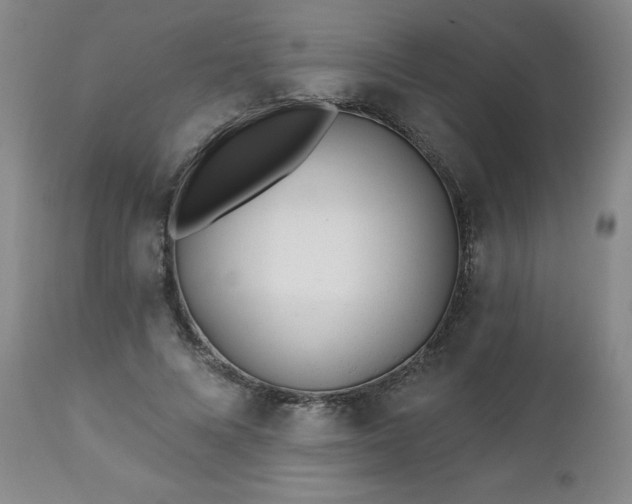 X0000112460688200908241259