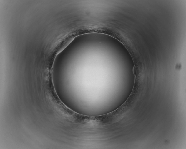 X0000112460689200908241259