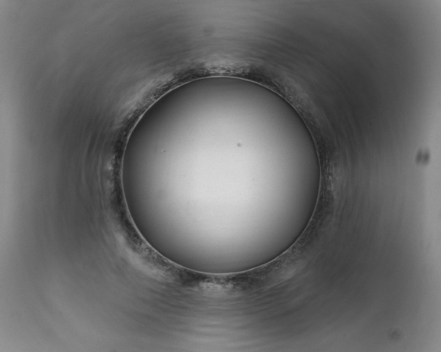 X0000112460690200908241259