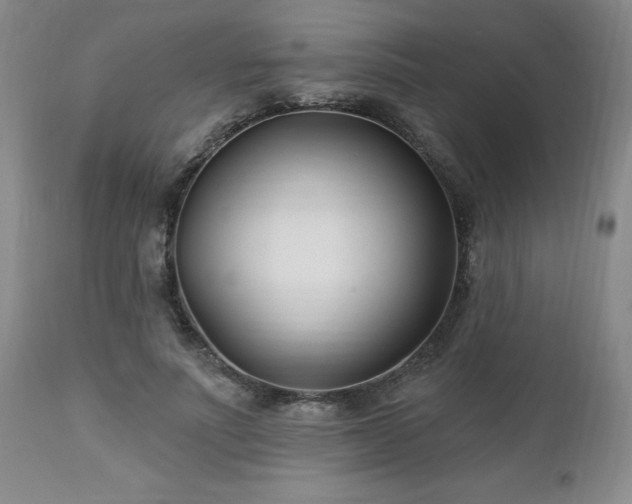 X0000112460691200908241259