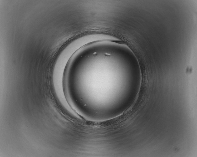 X0000112460692200908241259