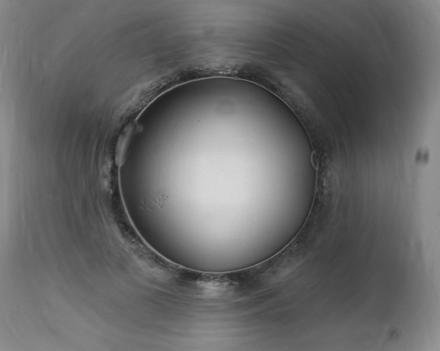 X0000112460693200908241259